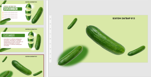 Загвар 813 Инфографик CUCUMBER